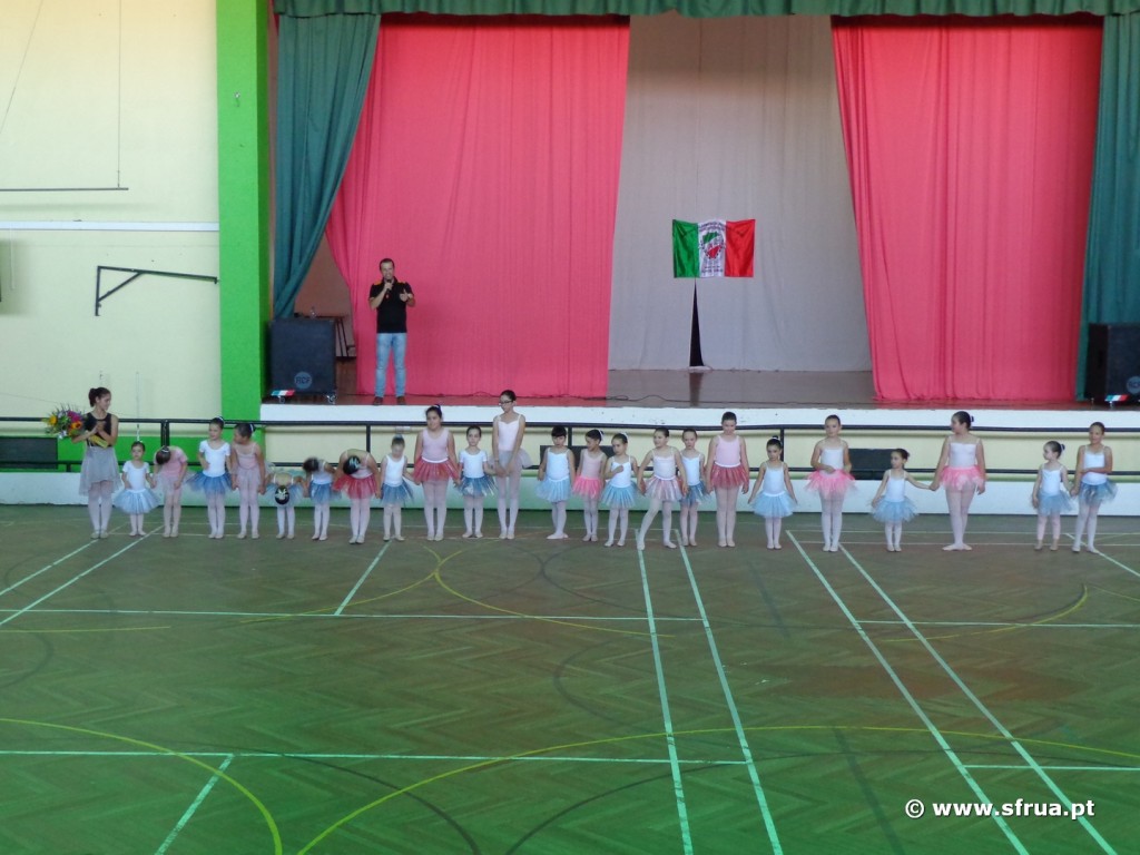 20130622sarau-010